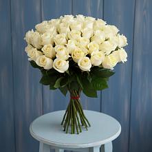 Букет 51 Белая роза Эдлесс Лав #REPLACE_PRED# Ваче